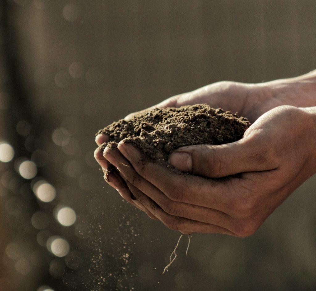 Culture War, Culture Peace