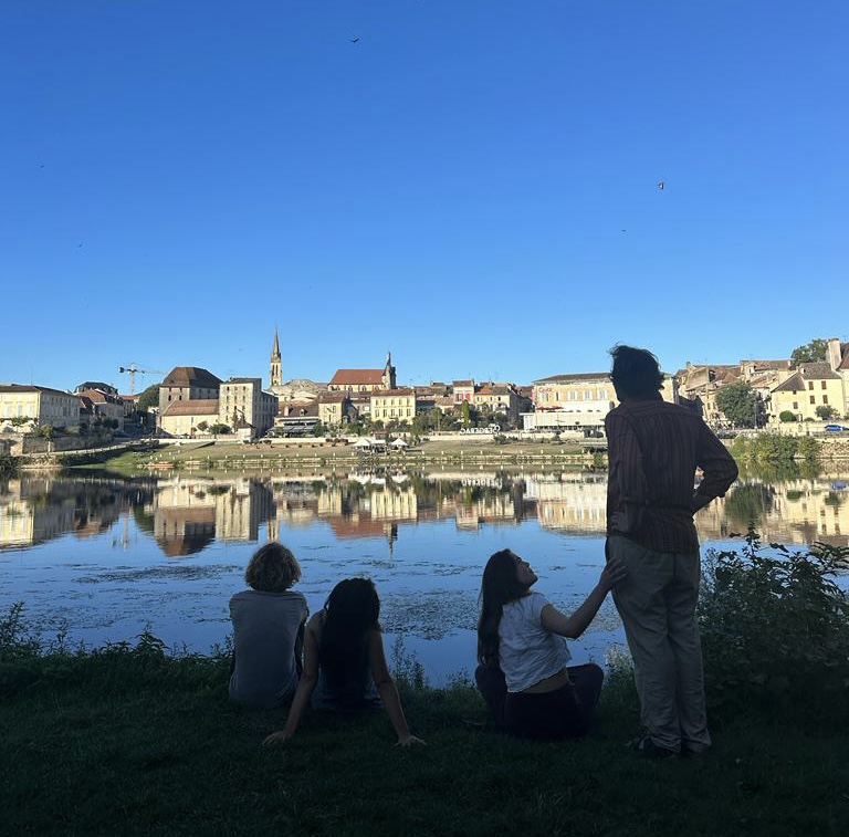 To We or not to We? That is the question